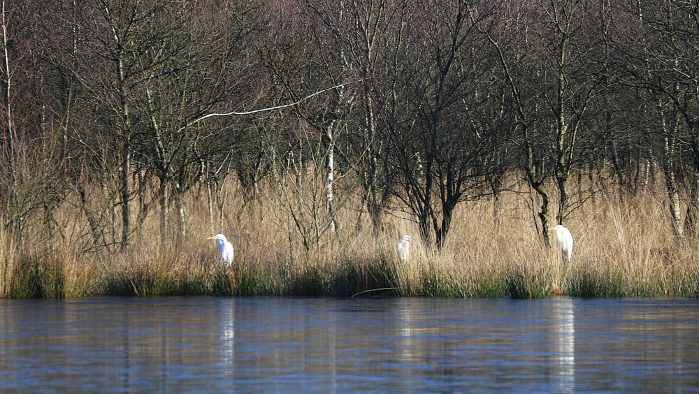 Over stemmen