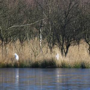 Over stemmen