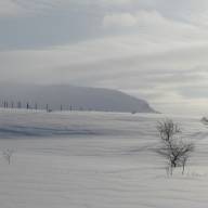 Onder een dikke deken sneeuw
